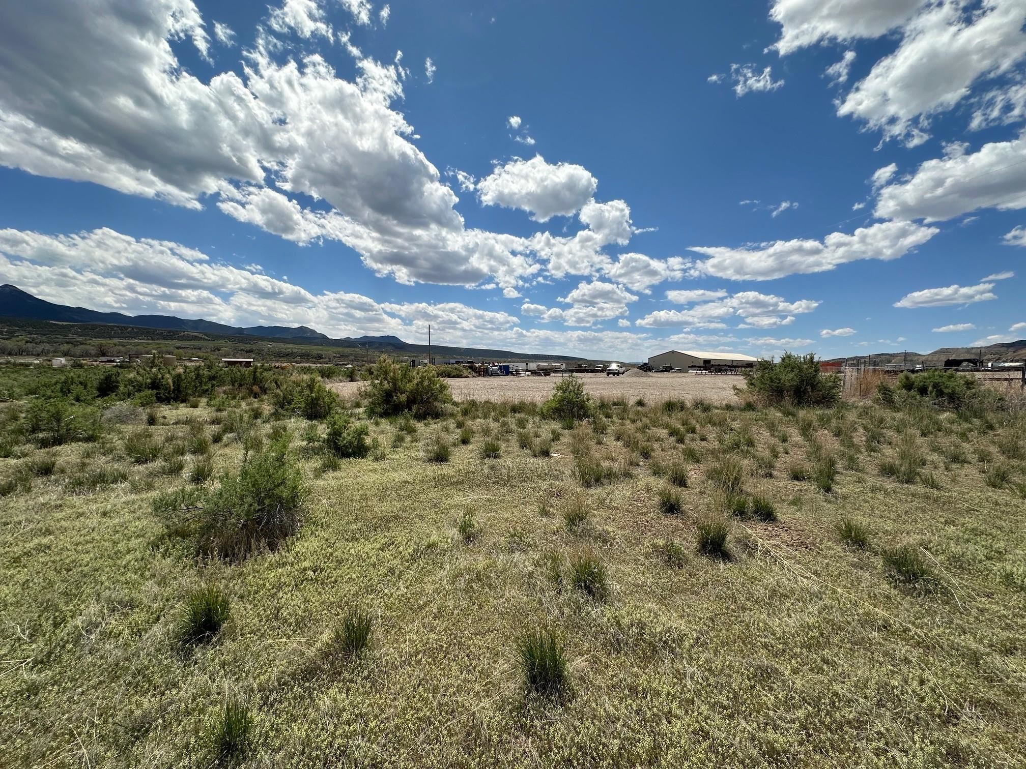 TBD Buds Way Parachute, CO 81635