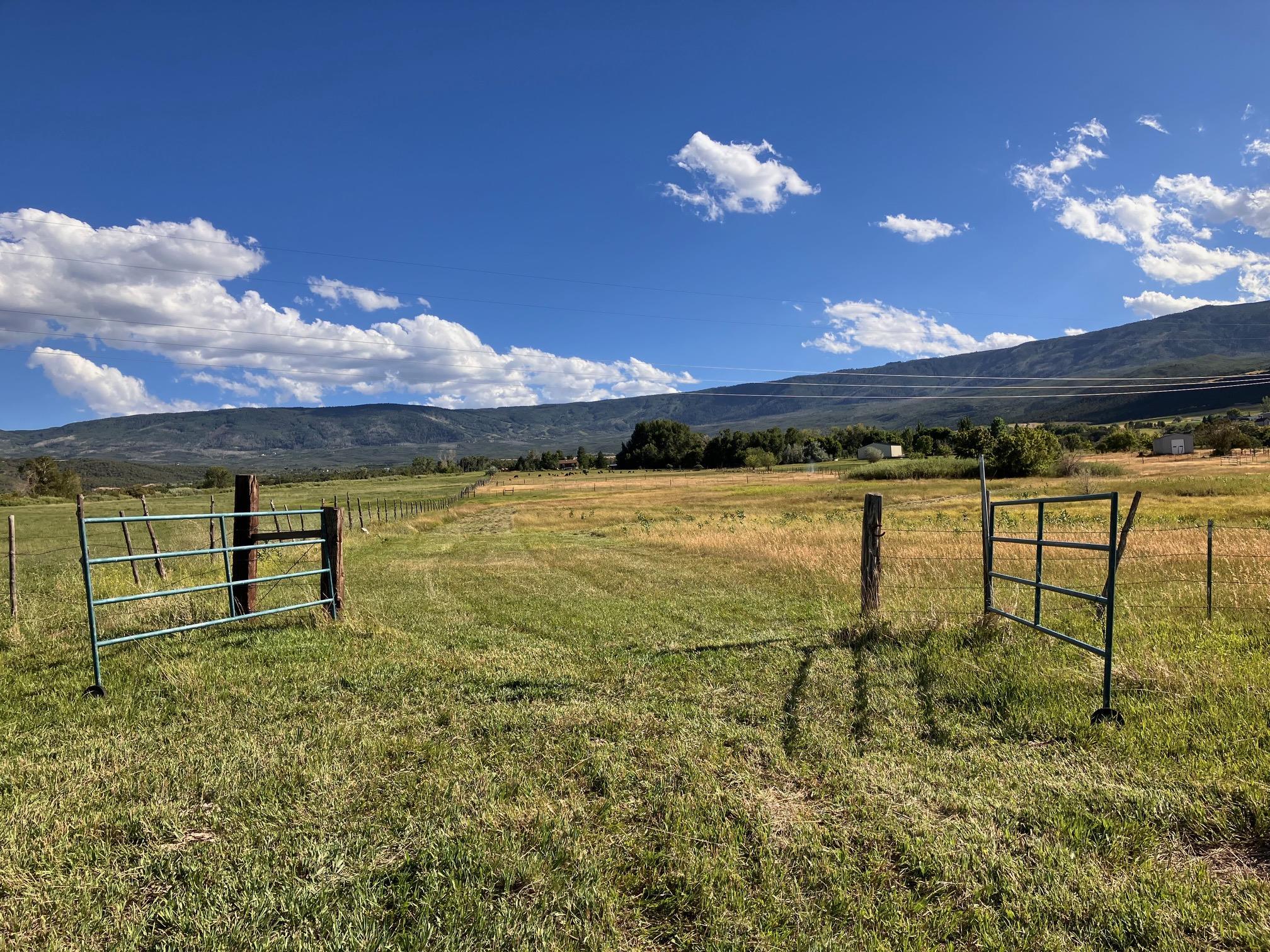 9440 48 2/10 Road Mesa, CO 81643