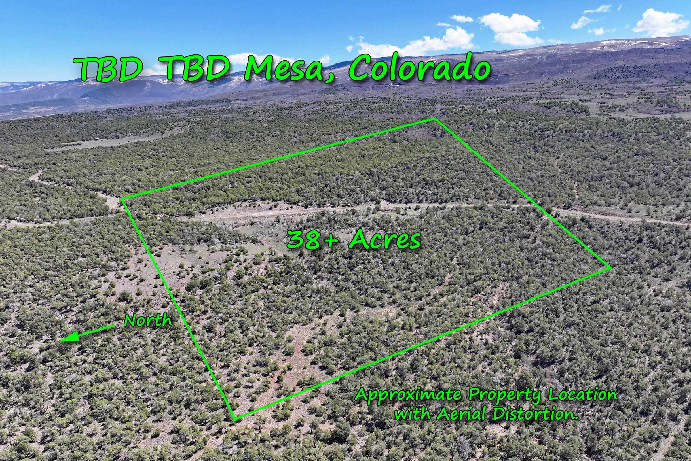 TBD TBD Mesa, CO 81643