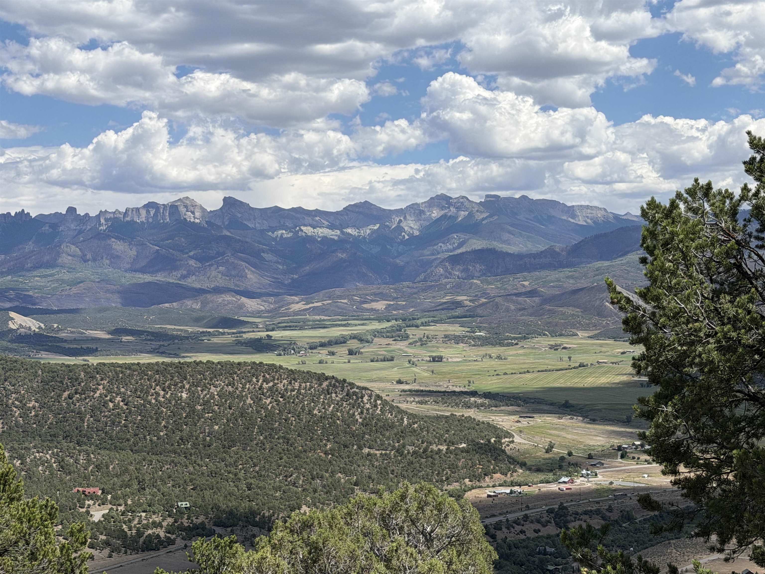 TBD Pine Drive Ridgway, CO 81432
