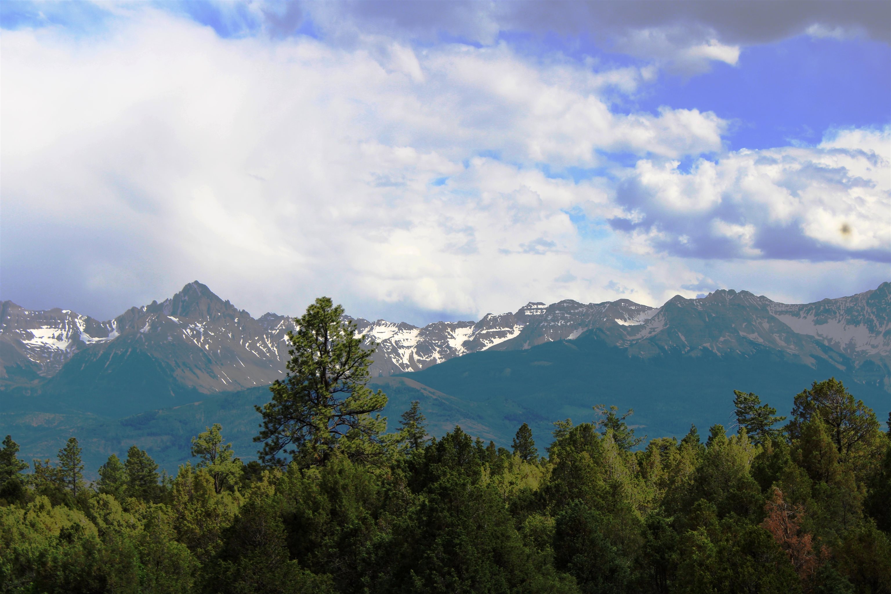 TBD Old Relay Road Ridgway, CO 81432