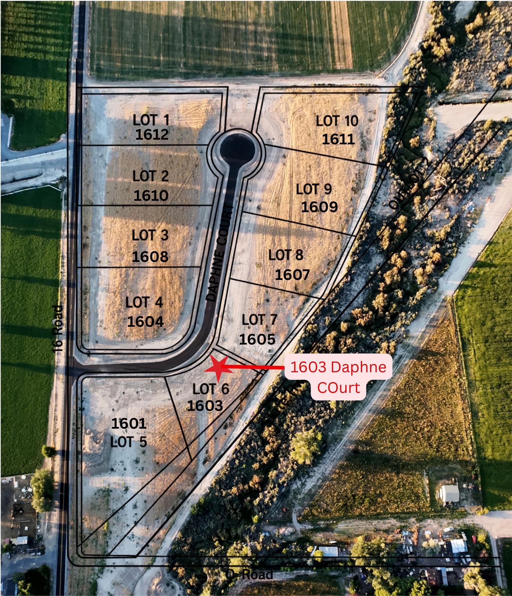 1603 Daphne Court Loma, CO 81524