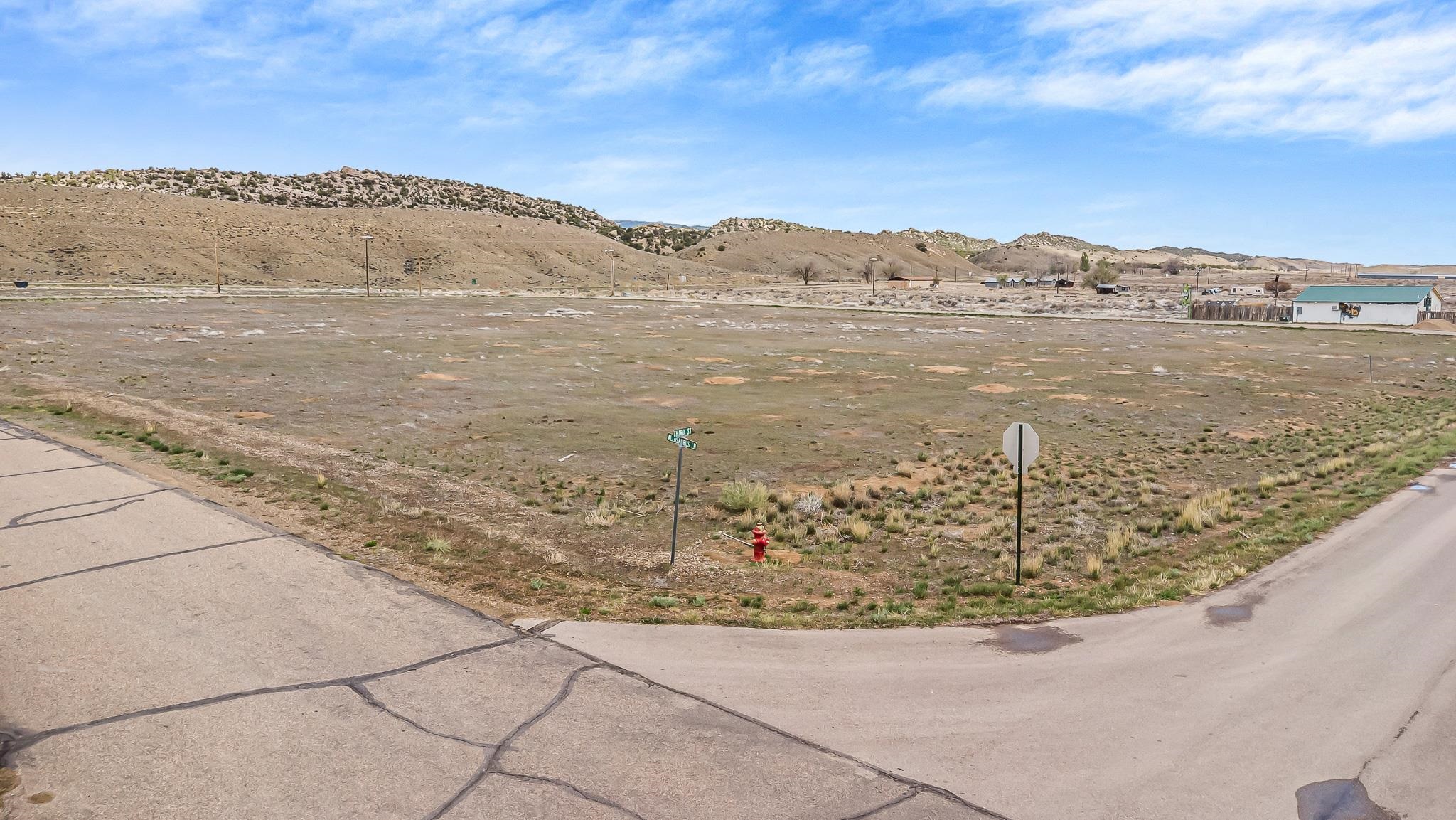 TBD 2nd Street Dinosaur, CO 81610