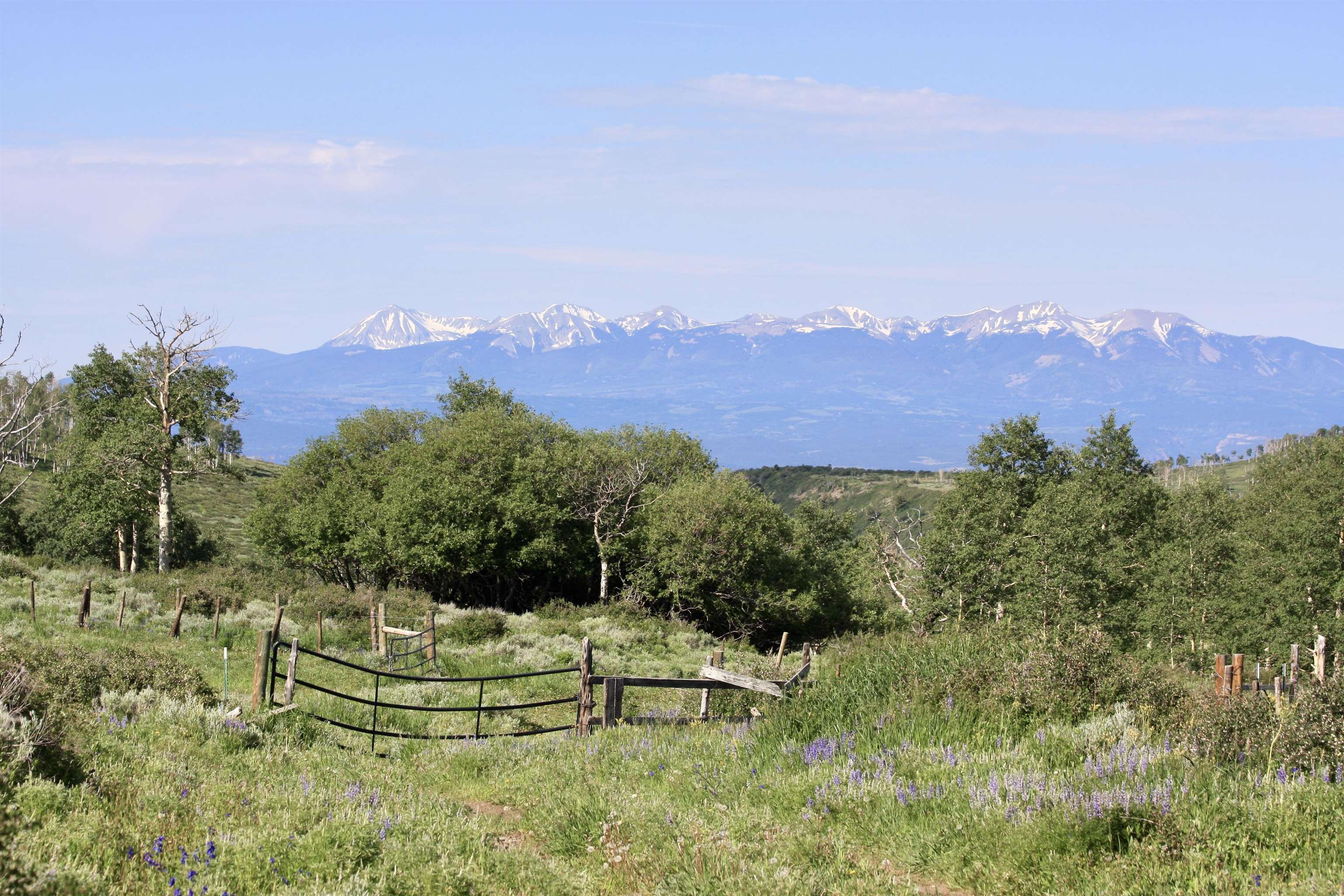 12951 MS Road Glade Park, CO 81522