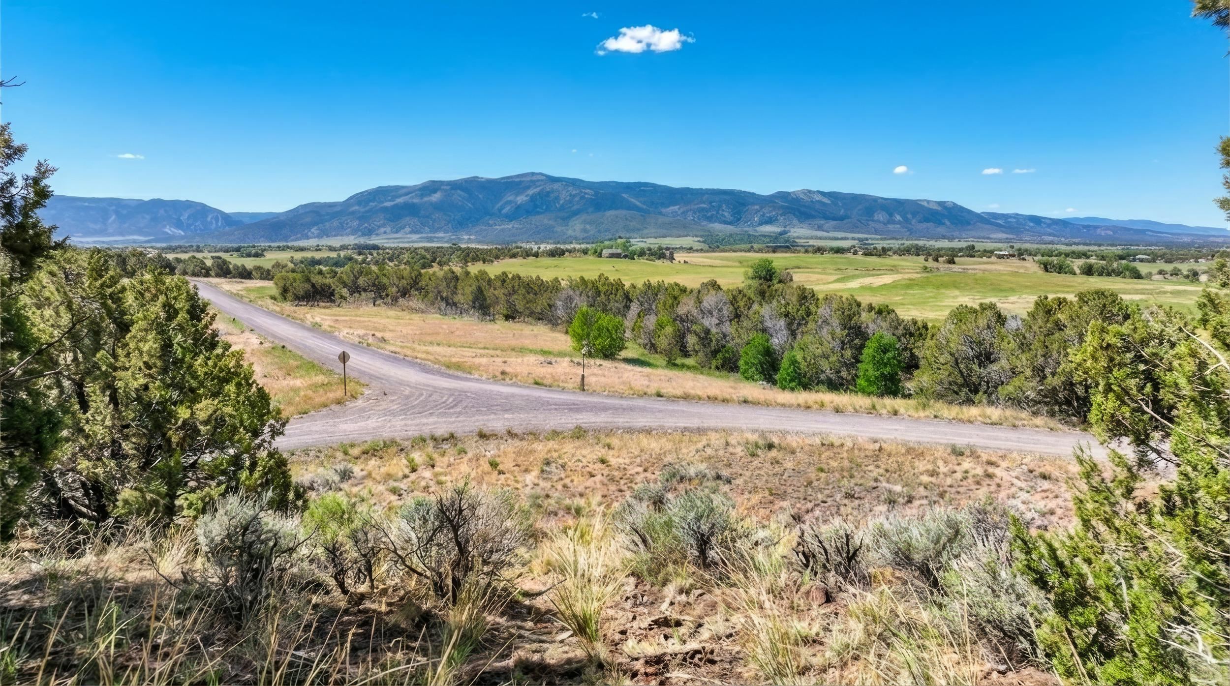 14401 Apache Lane Collbran, CO 81624
