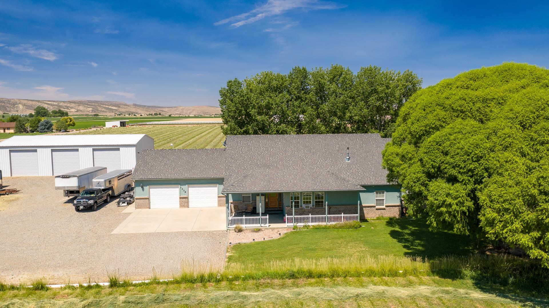 1239 O 1/2 Road Loma, CO 81524