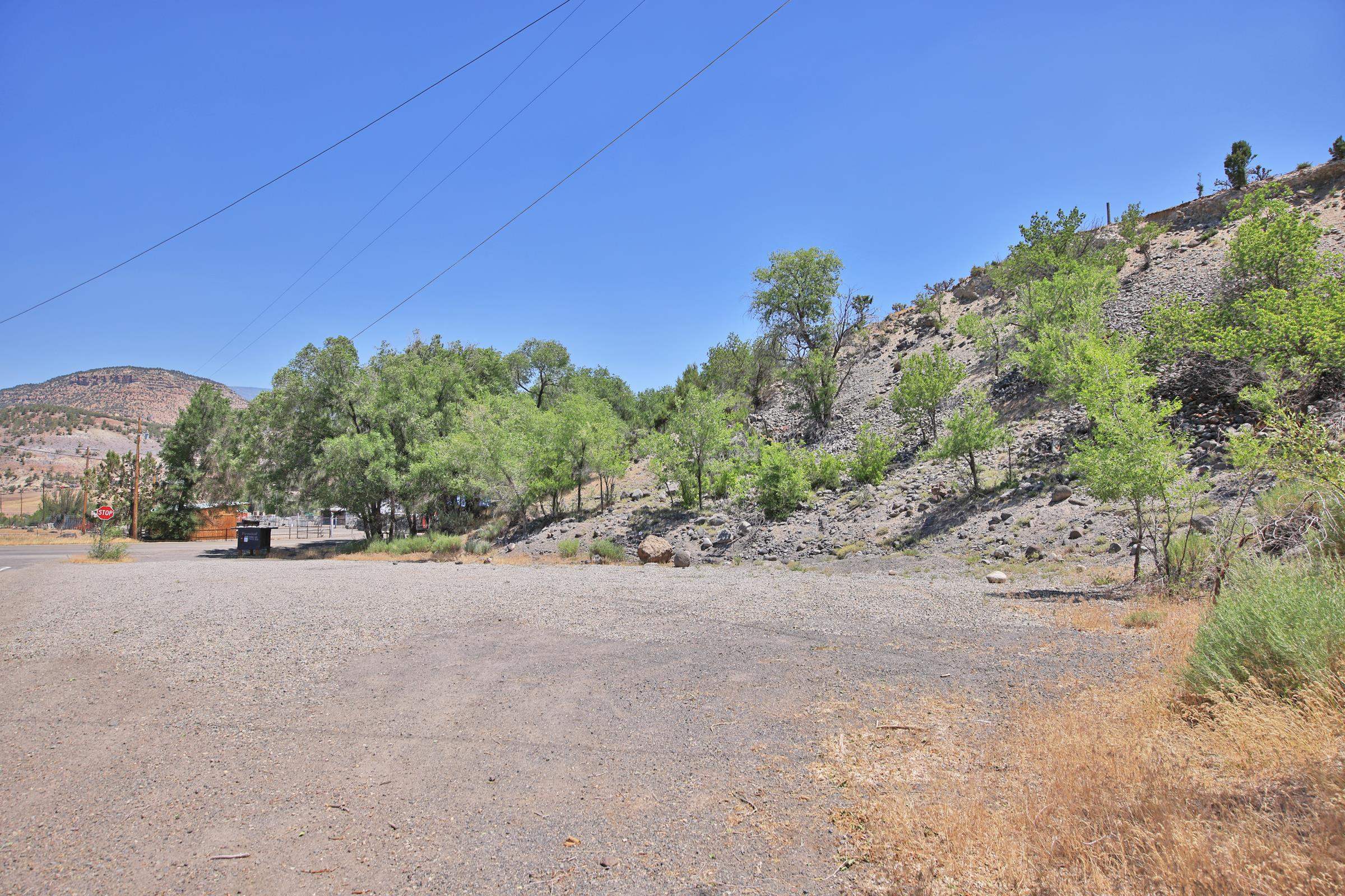 TBD 57 1/2 Road Collbran, CO 81624