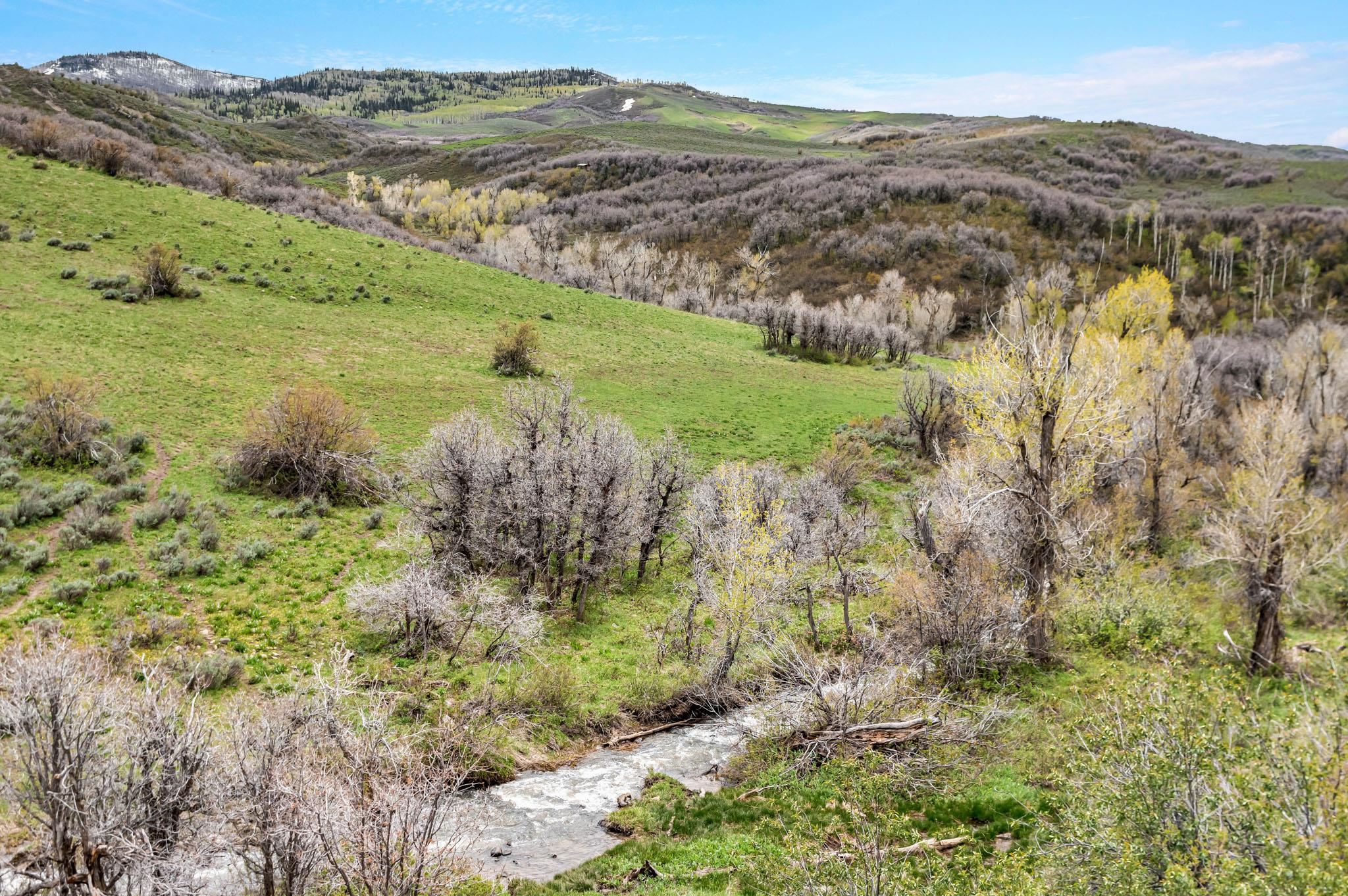 TBD County Road 80 Hayden, CO 81639