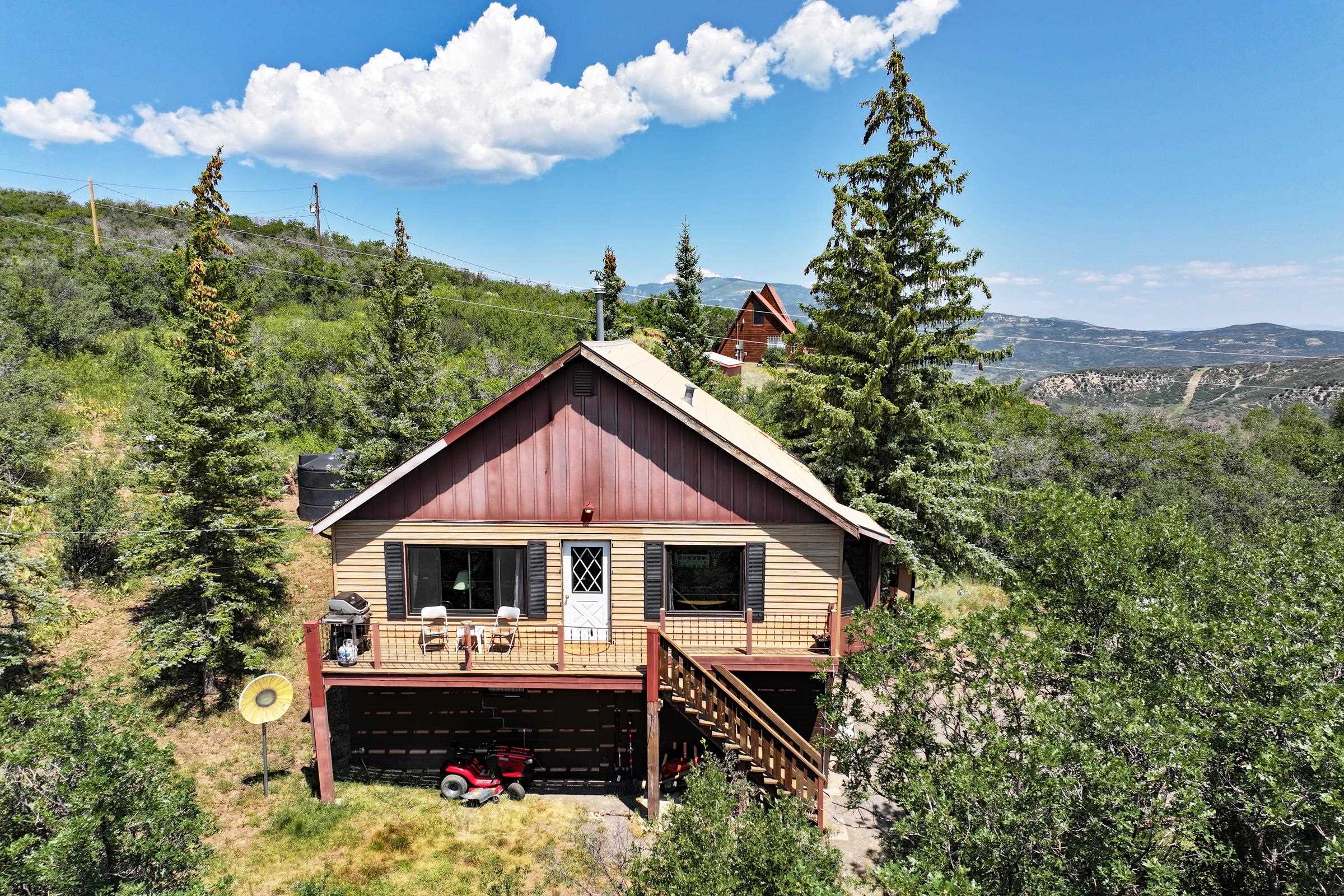 15699 Aspen Glen Lane Collbran, CO 81624
