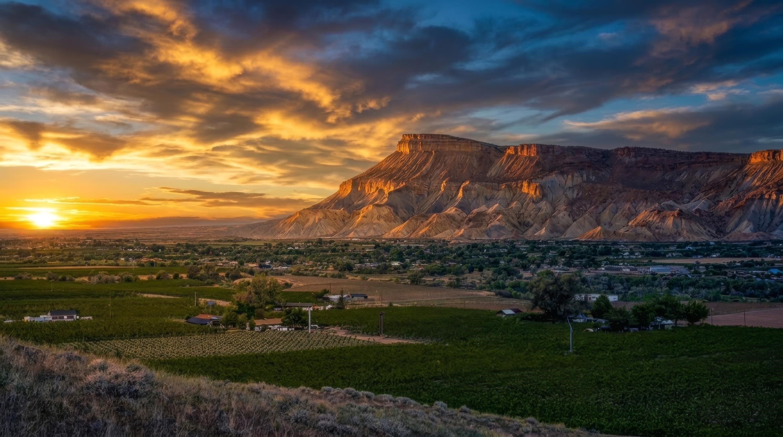3770 Horse Mountain Road Palisade, CO 81526