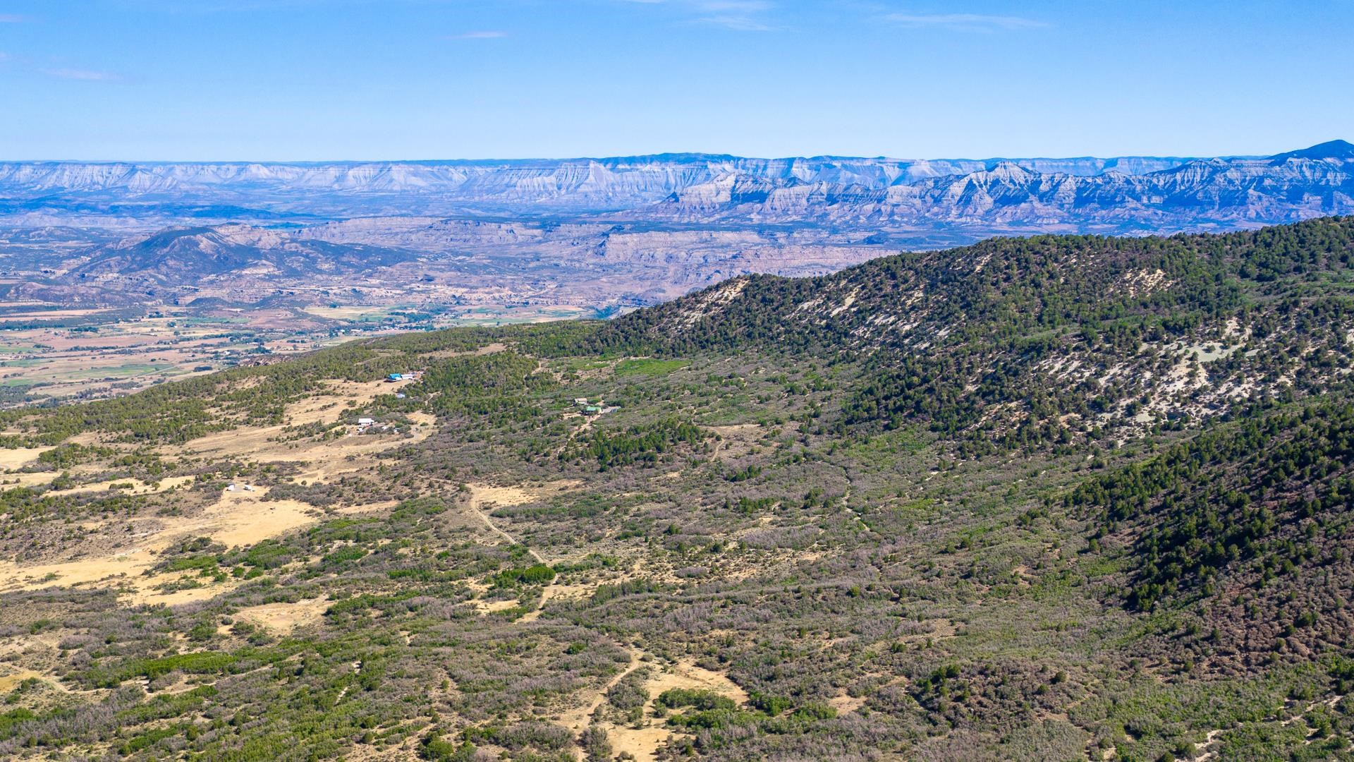 TBD Coon Creek Road Mesa, CO 81643