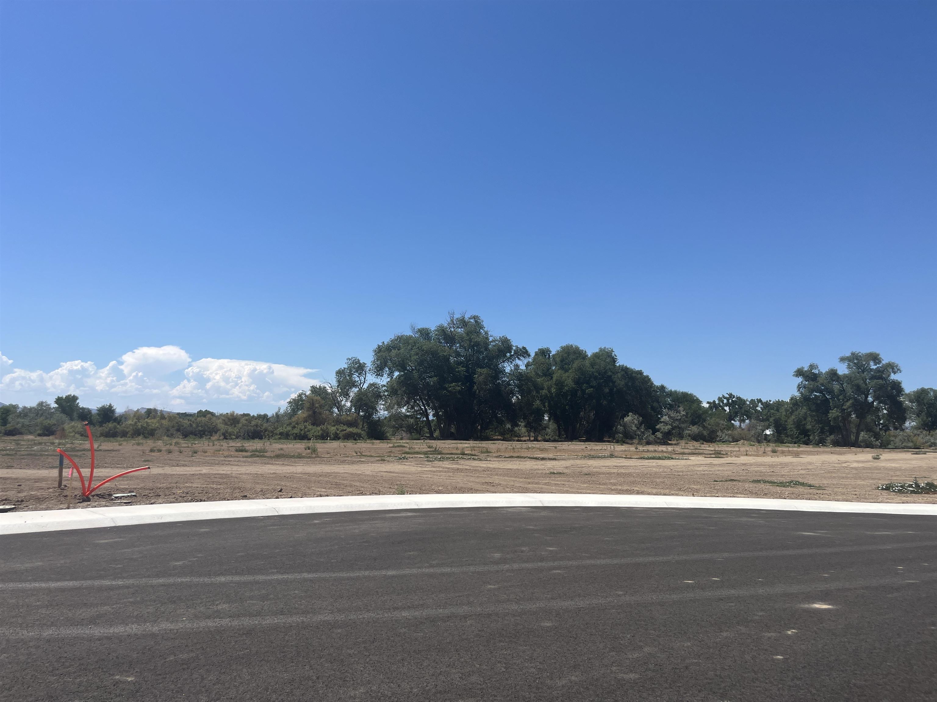 967 Hay Bale Court Fruita, CO 81521