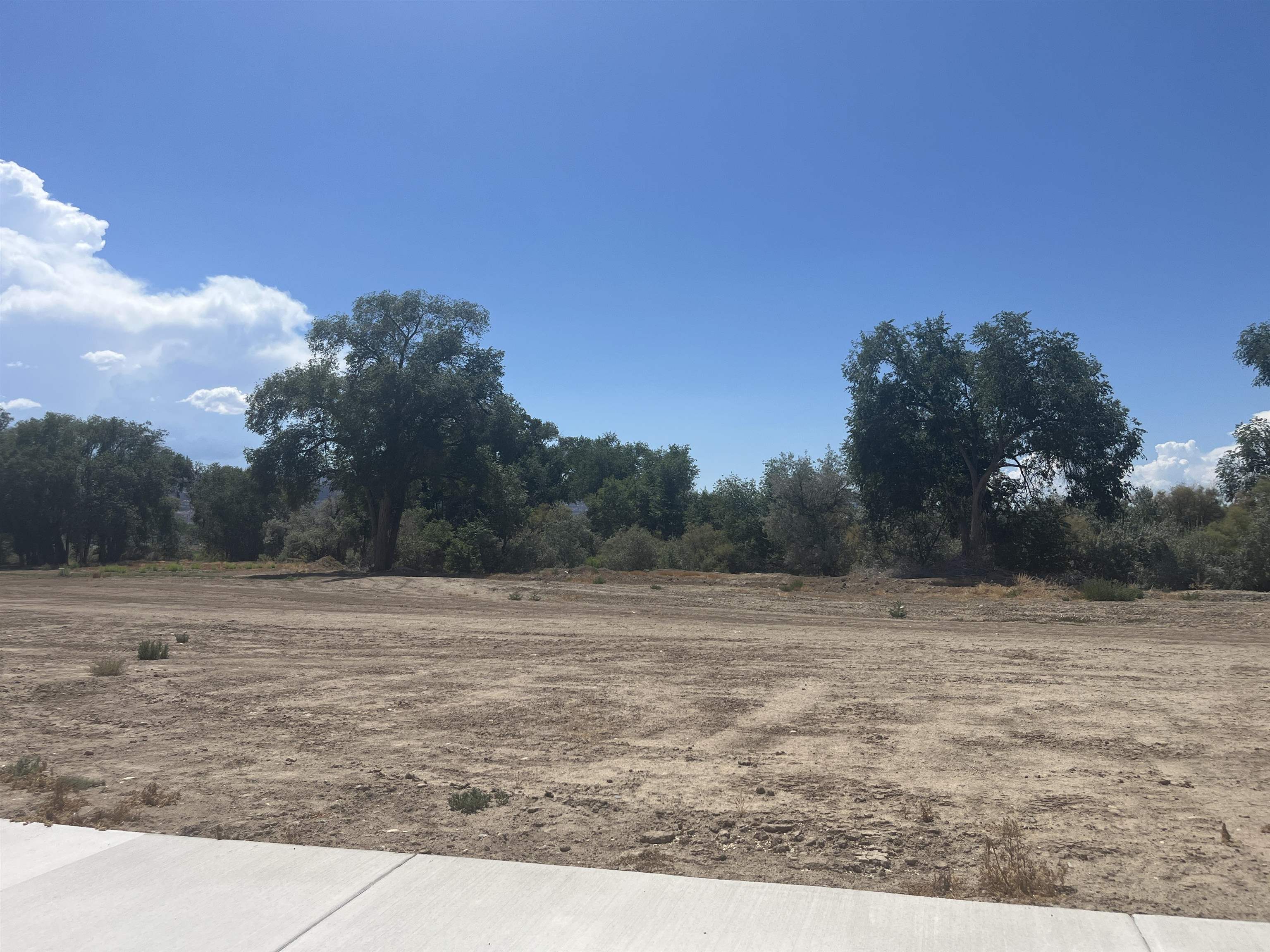 973 Hay Bale Court Fruita, CO 81521