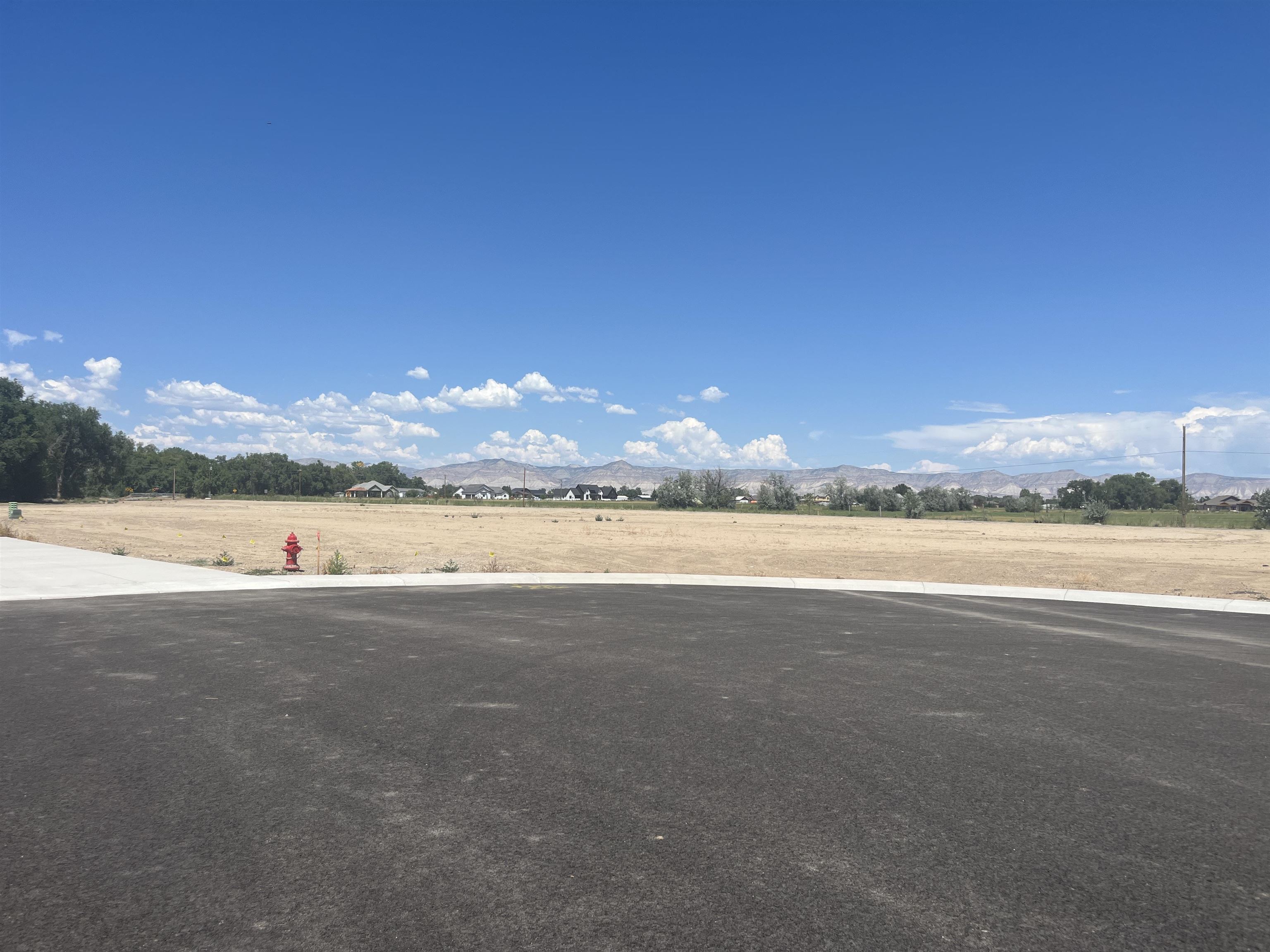 978 Hay Bale Court Fruita, CO 81521