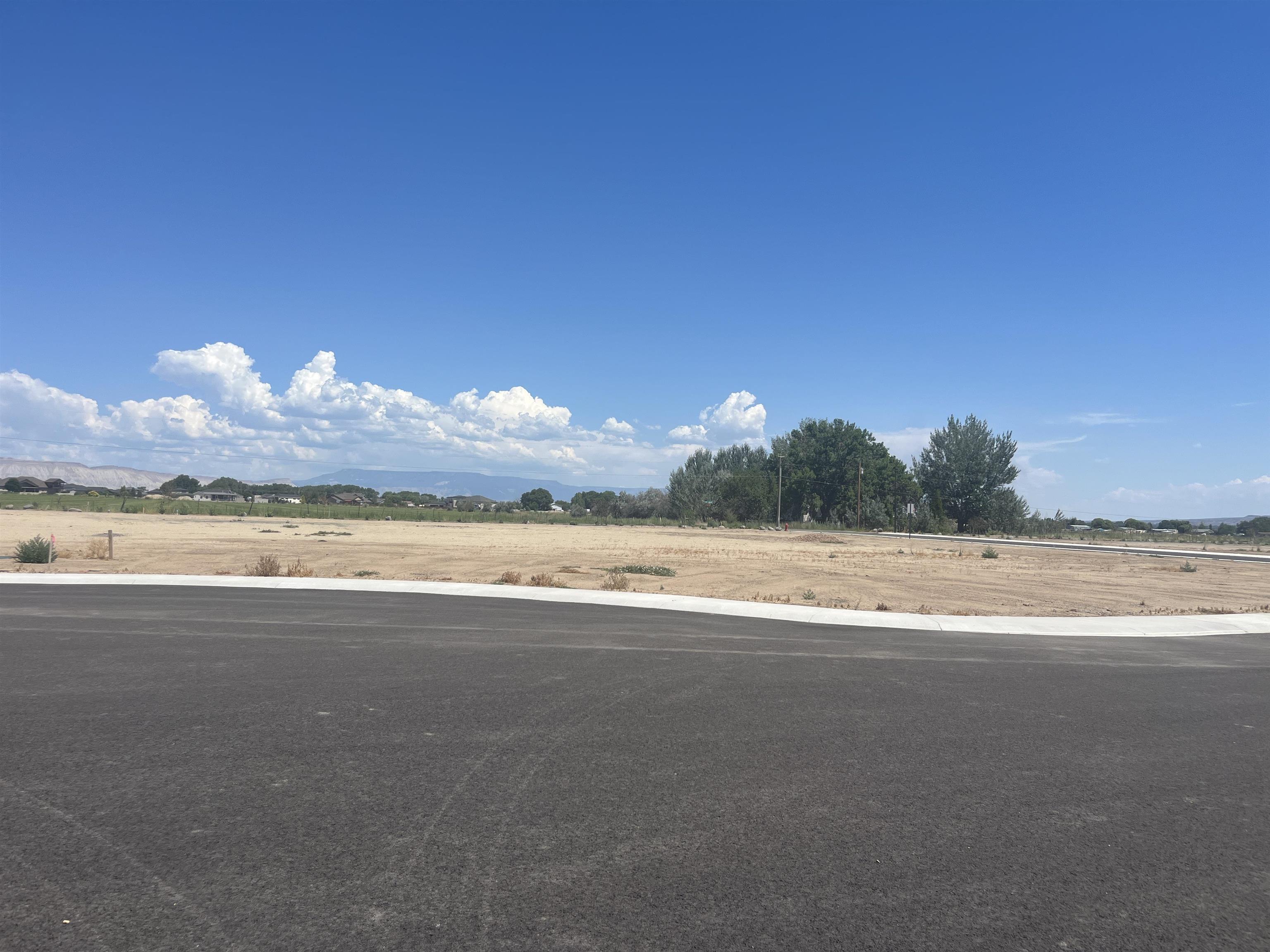 974 Hay Bale Court Fruita, CO 81521