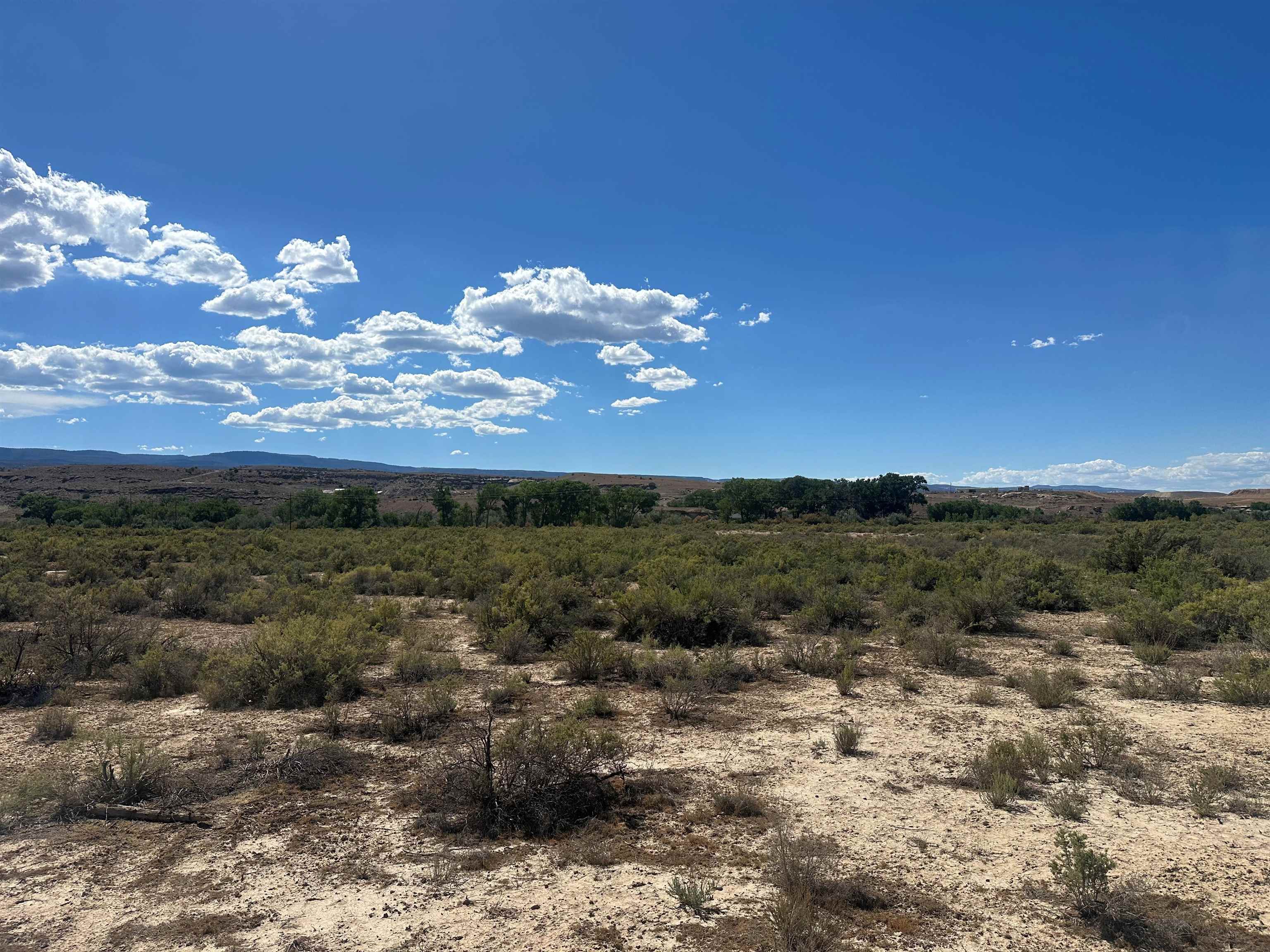 523 Desert Road Whitewater, CO 81527