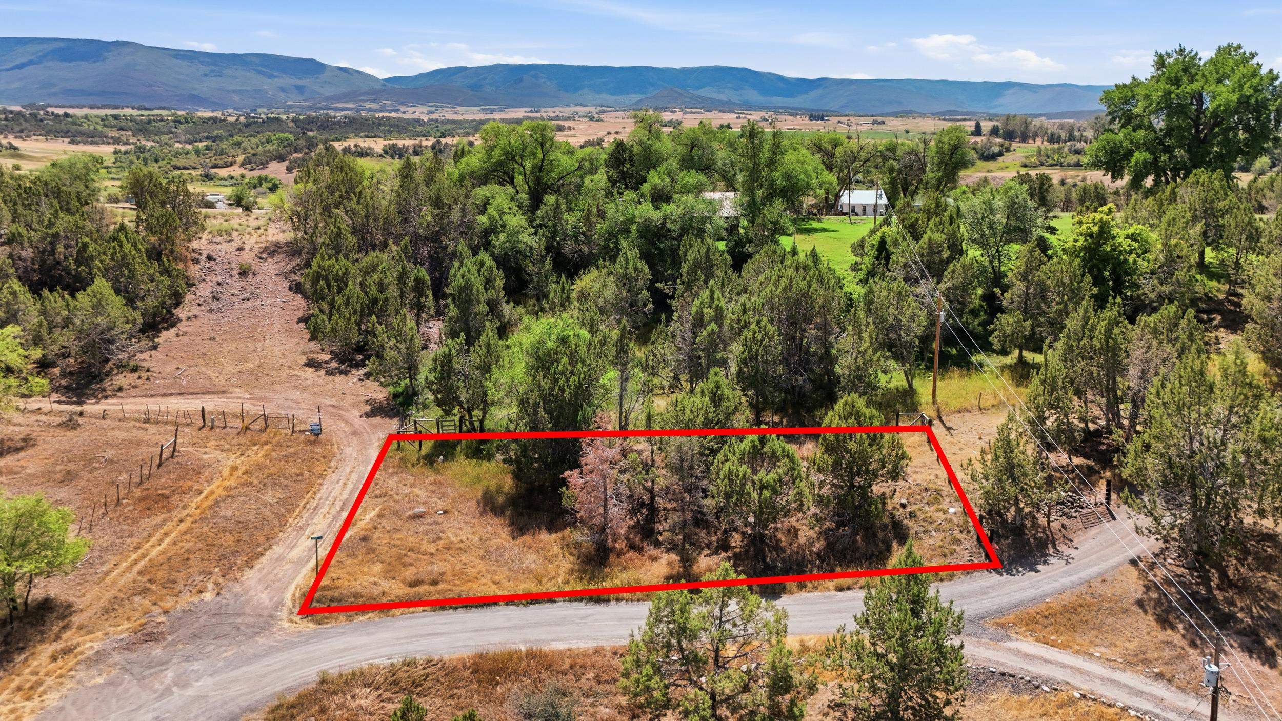 530 Glenarm Avenue Collbran, CO 81624