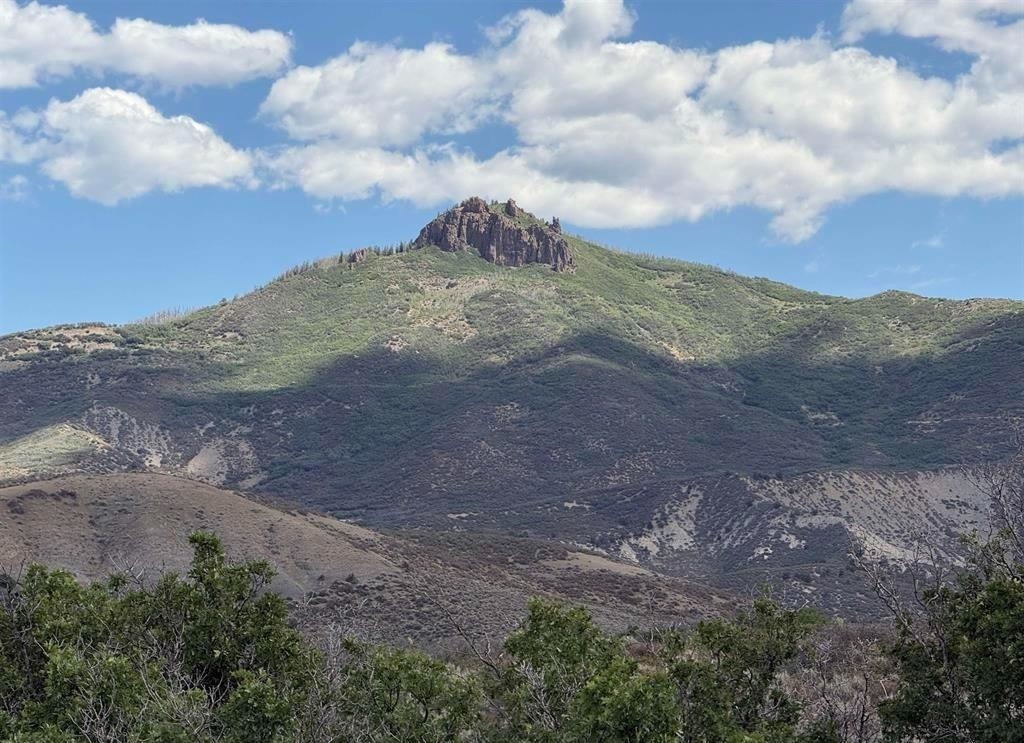 TBD 8250 Road Crawford, CO 81415