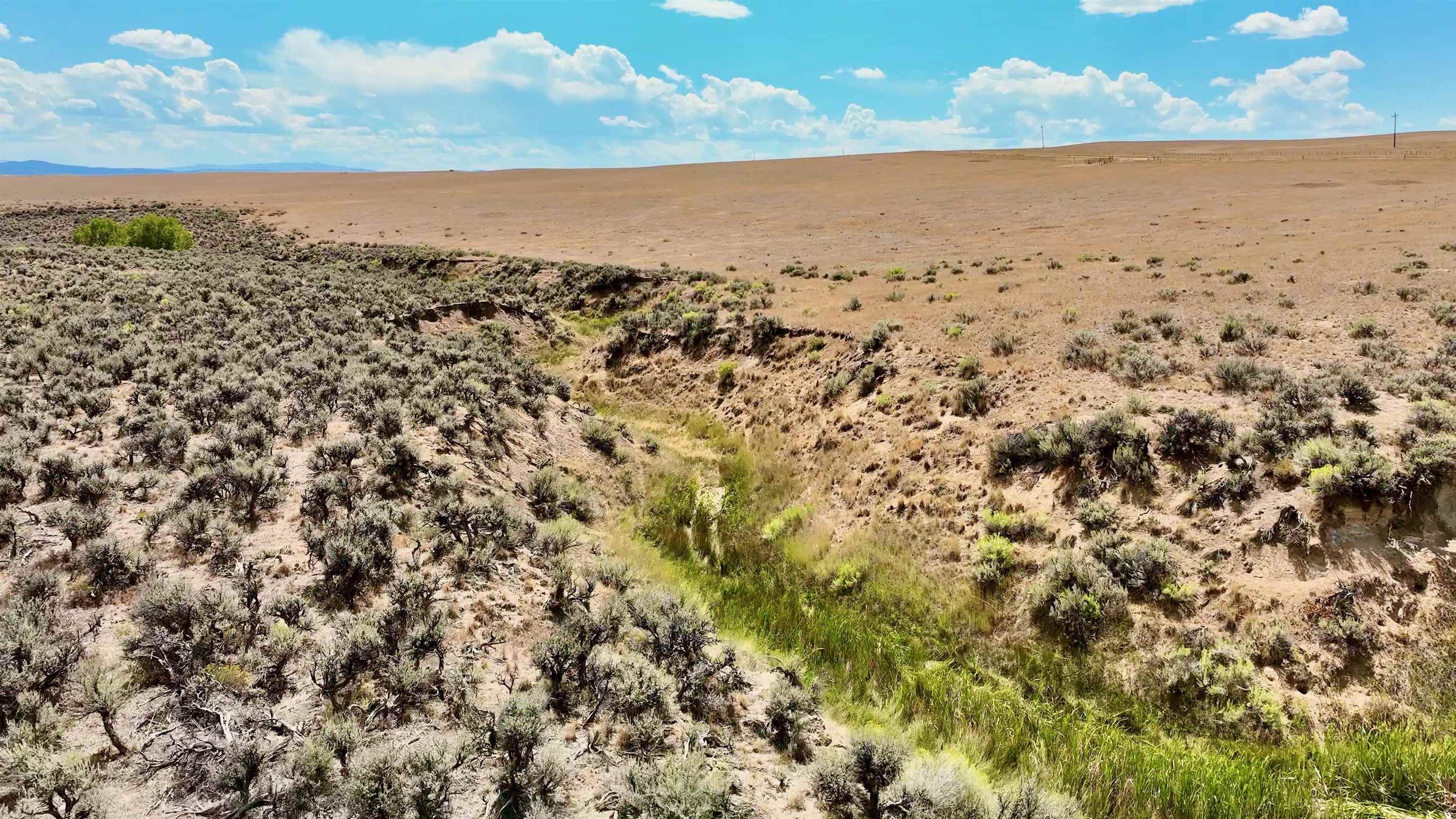 3986 County Road 103 Craig, CO 81625