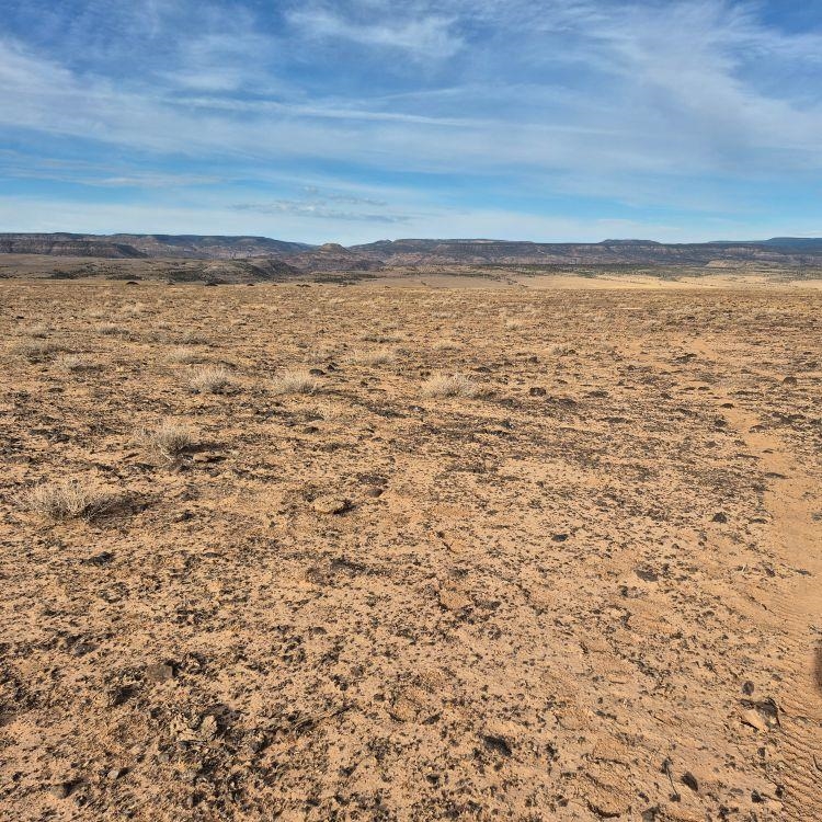 TBD TBD Whitewater, CO 81527