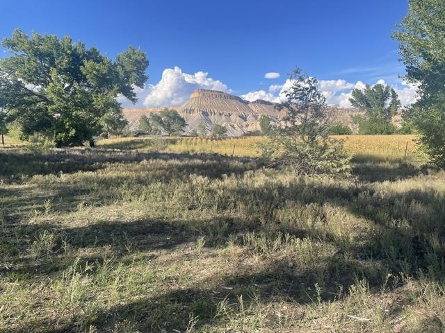 3463 Grand Valley Canal Road Clifton, CO 81520