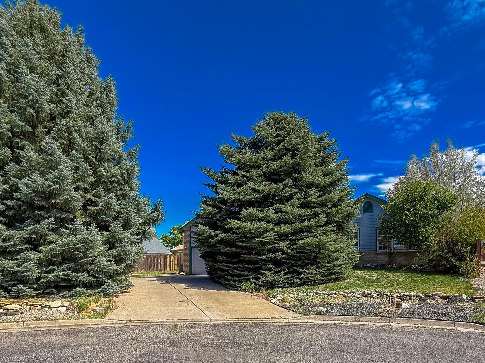 100 Juniper Lane Battlement Mesa, CO 81635
